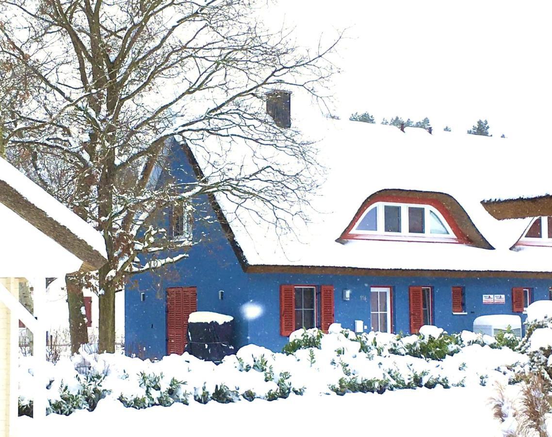Strandhaus Lucky, Sauna, Garten, Kamin, Strandnah 格洛威 外观 照片